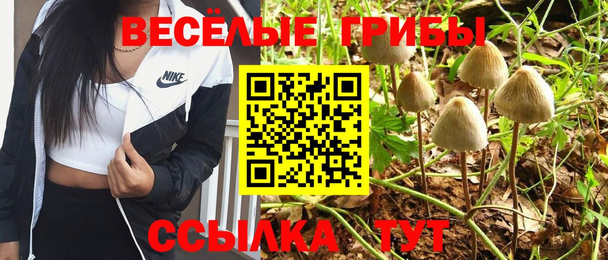 Галлюциногенные грибы ЛСД  Вход с VPN  Городец  Галлюциногенные грибы MAGIC MUSHROOMS 